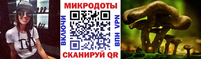 Галлюциногенные грибы Psilocybine cubensis  где можно купить   Советск 
