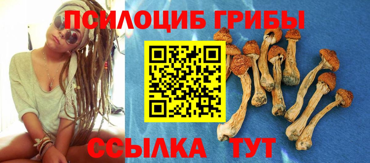 Галлюциногенные грибы MAGIC MUSHROOMS Советск