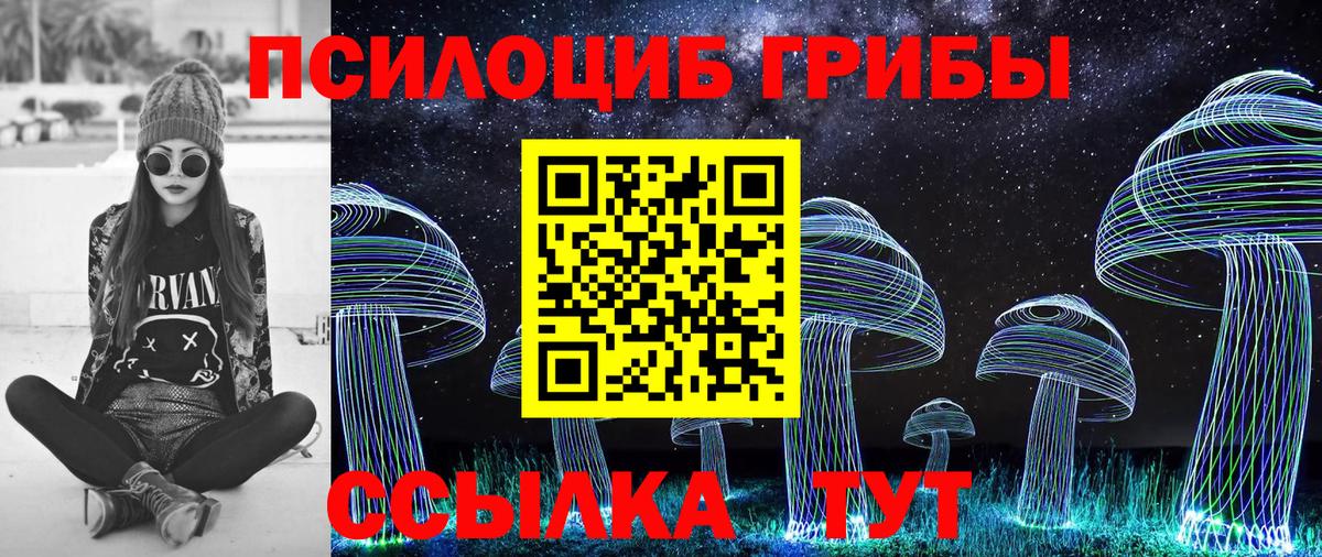 Галлюциногенные грибы Magic Shrooms  Вход с VPN  Советск  Галлюциногенные грибы Cubensis 