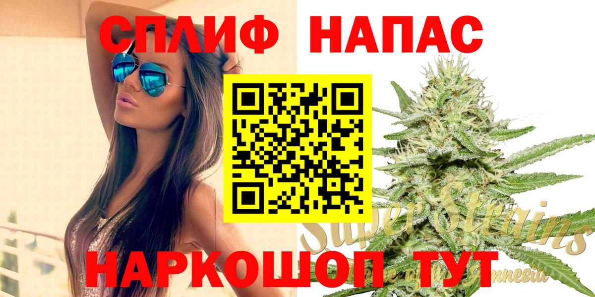 Бошки Шишки MAZAR Советск
